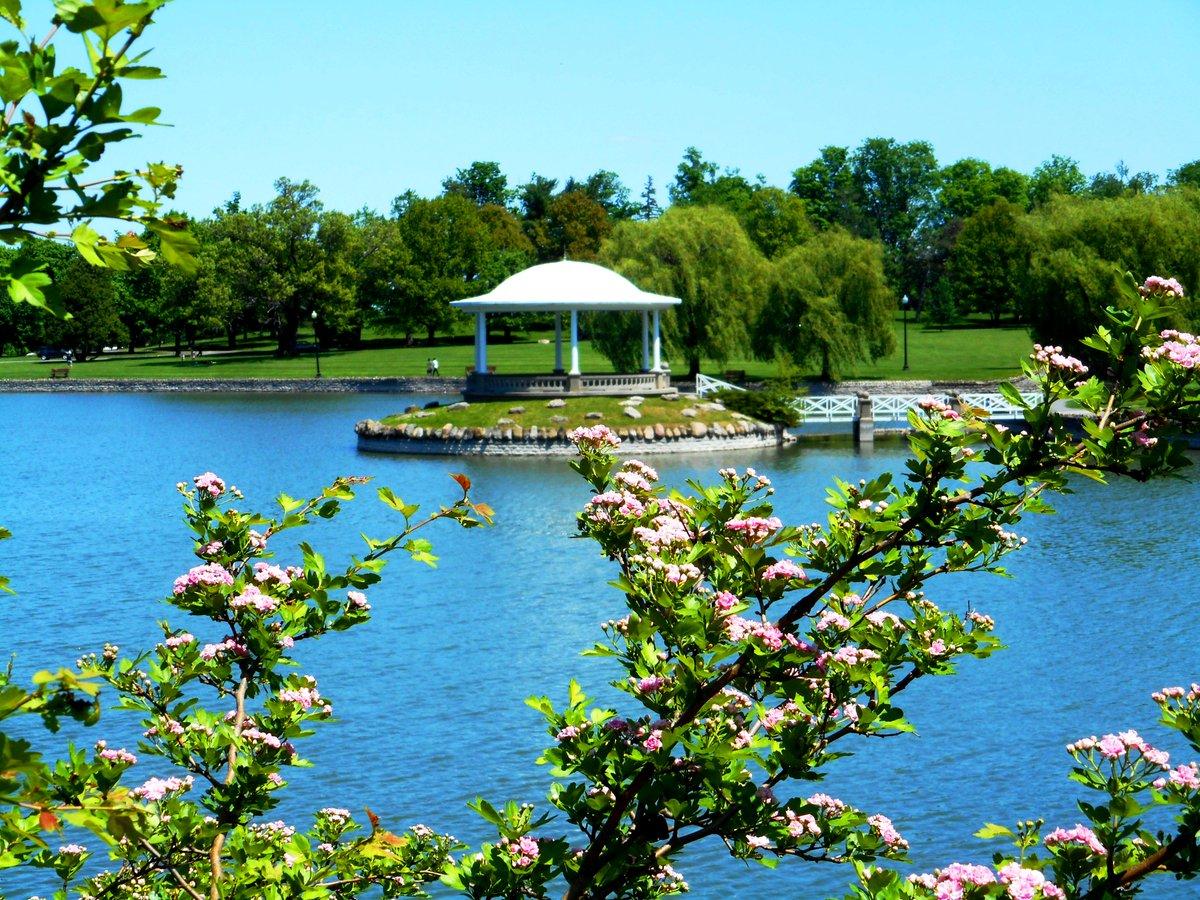 The Wedding Website of Olivia Kelly and AJ Davis