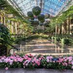 Longwood Gardens