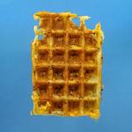 Wild Culture Waffles and Frozen Yogurt
