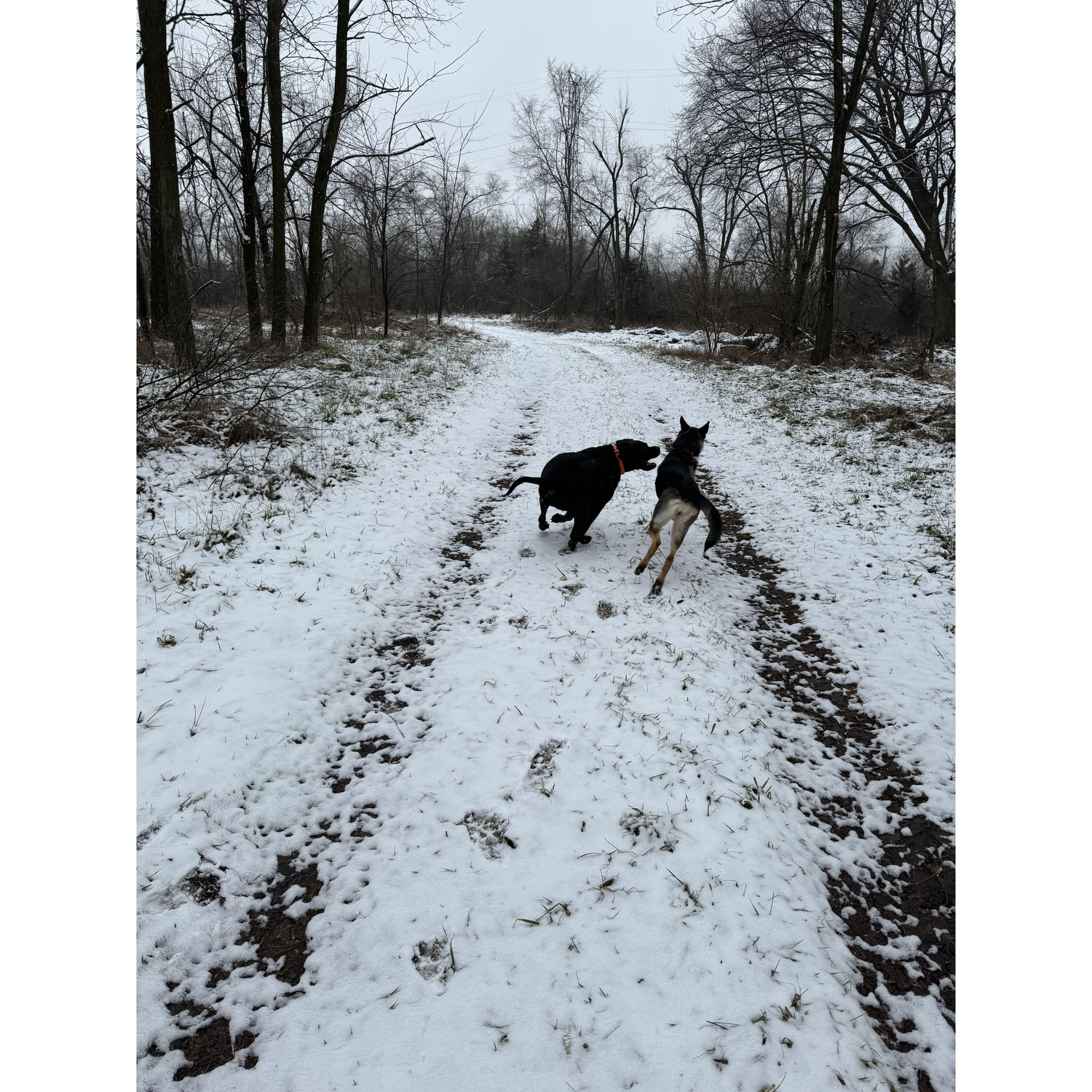 The trails in our home complex