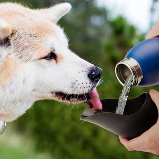 25 Oz. Dog Water Bottle