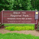 Black Hill Regional Park