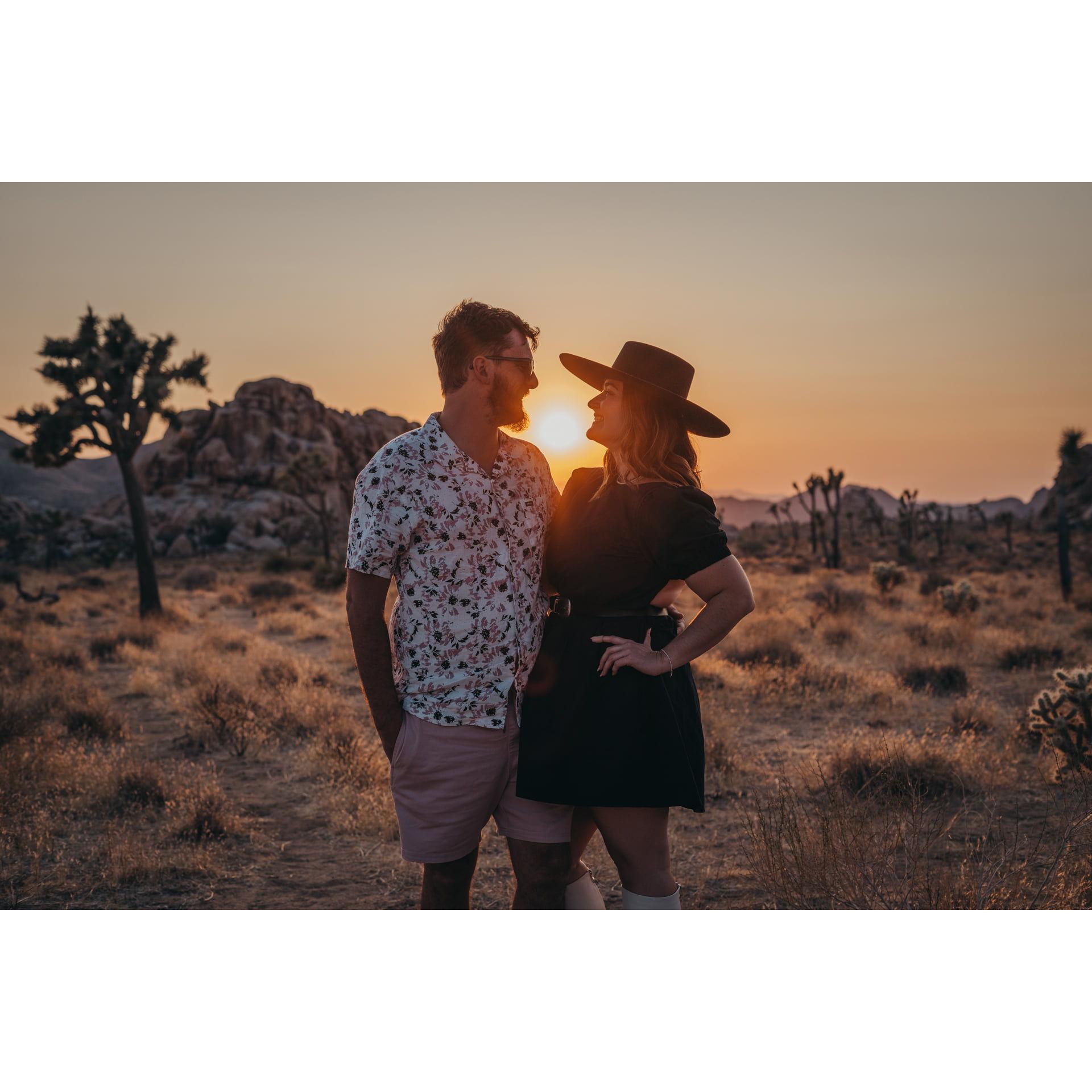 Joshua Tree National Park, July 2021.