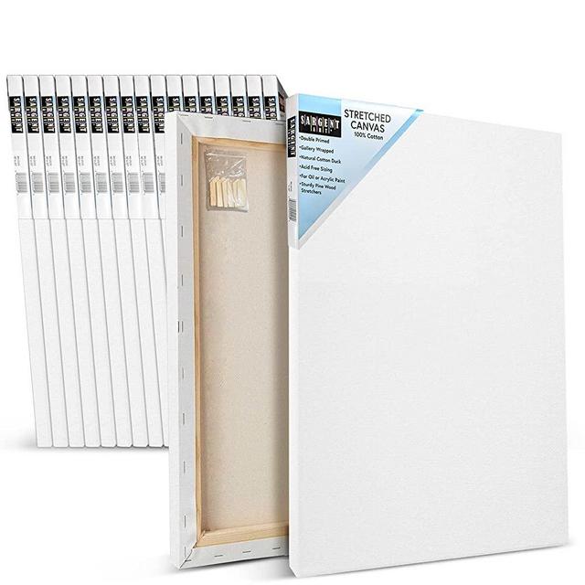 Sargent Art 16 x 20 inch Stretched Canvas, Pack of 20 Pieces, Blank White Canvases, Double Acrylic Titanium Priming, Perfect for Acrylic, Oil, and Art Projects, Acrylic Pouring & Wet Media