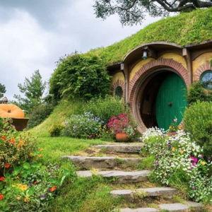 Lord of the Rings Hobbiton Tour