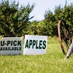 Apple-A-Day Farm