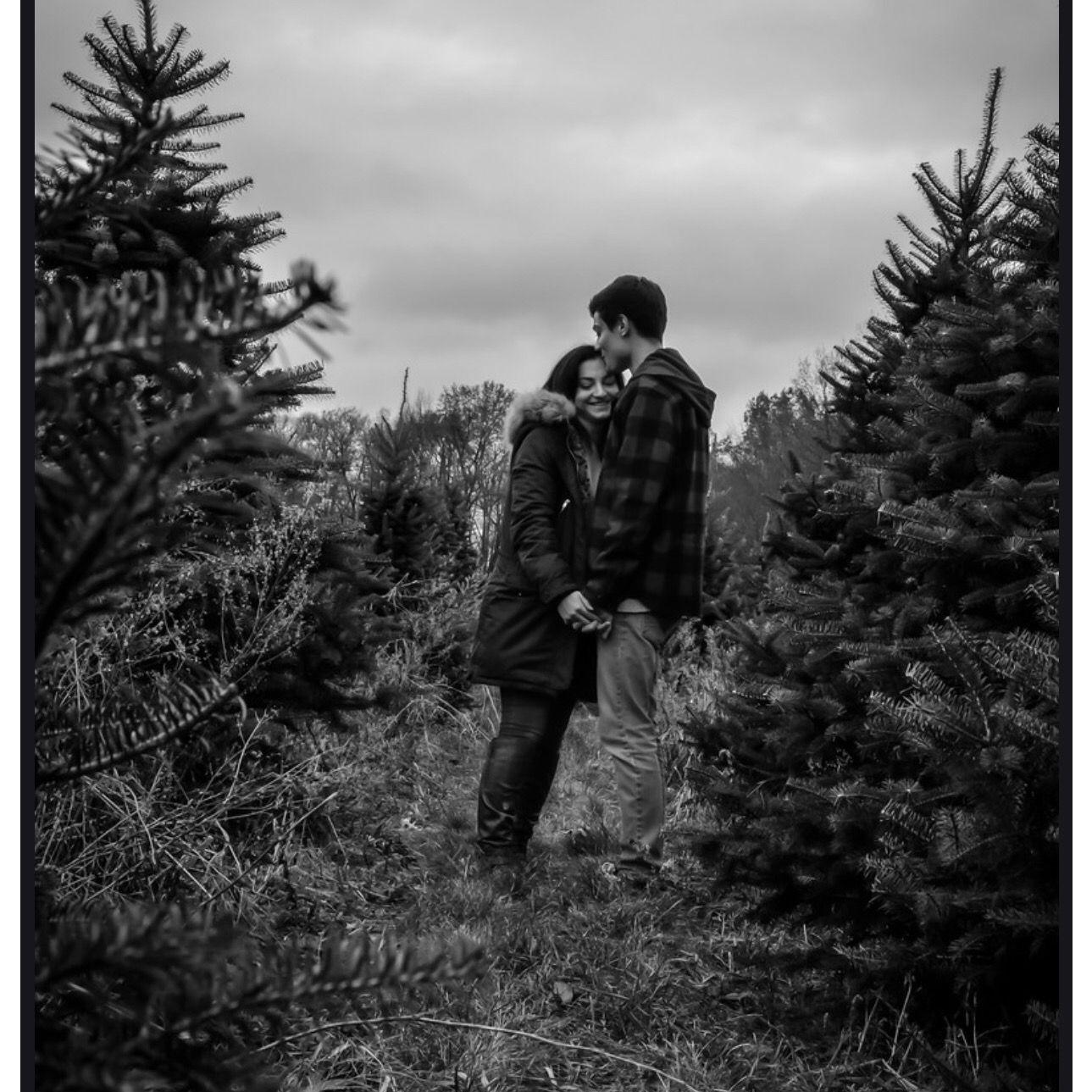 December 2018 - Christmas tree farm