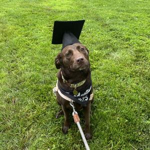 Maple's College Fund