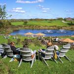 Tree House Farm Brewery Tasting Room