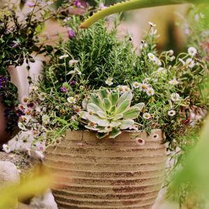 Antiqued Ring Ceramic Jar Planter, 11"