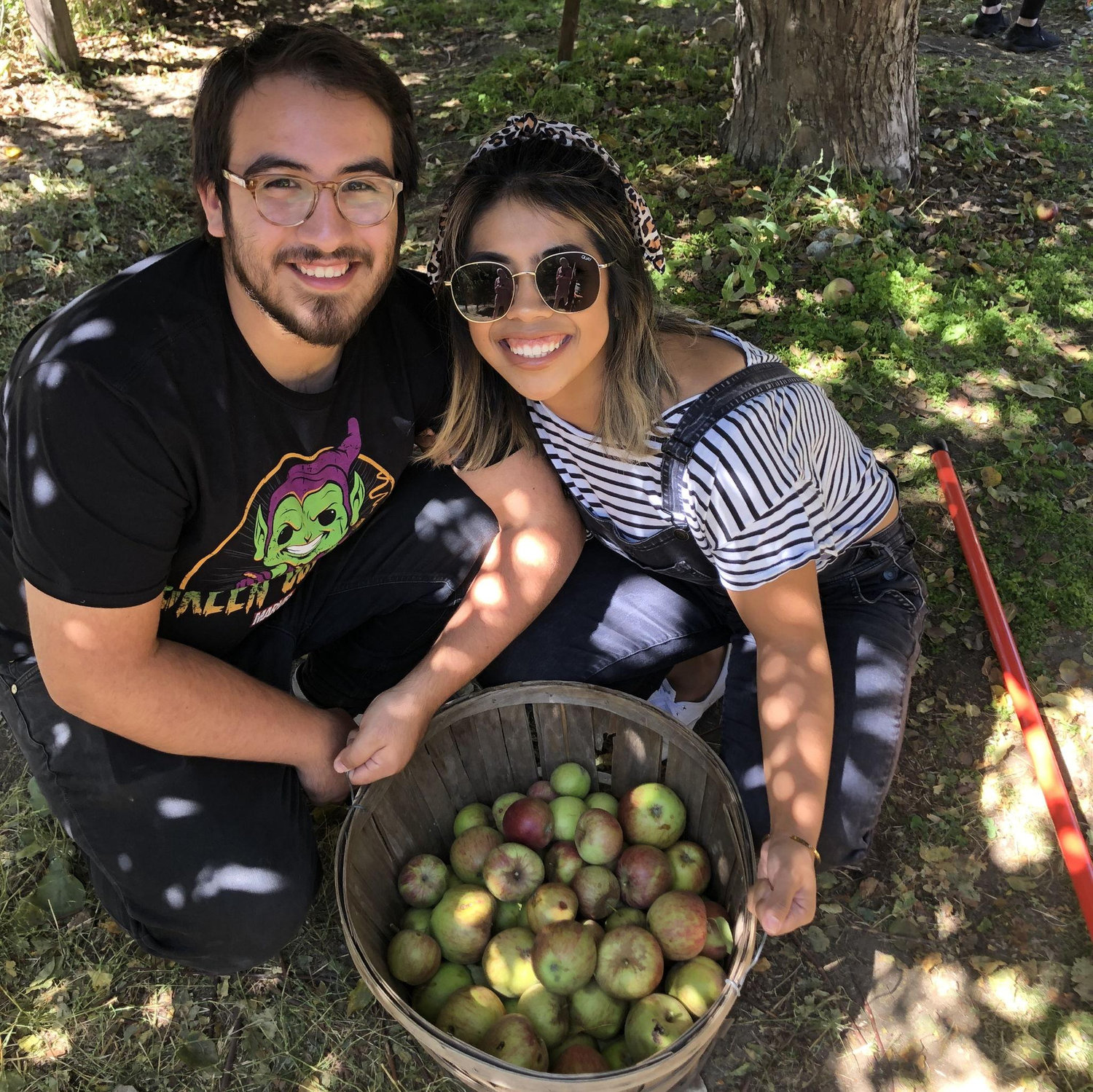 Apple Picking in Oak Glen, 2019