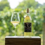7 Vines Vineyard