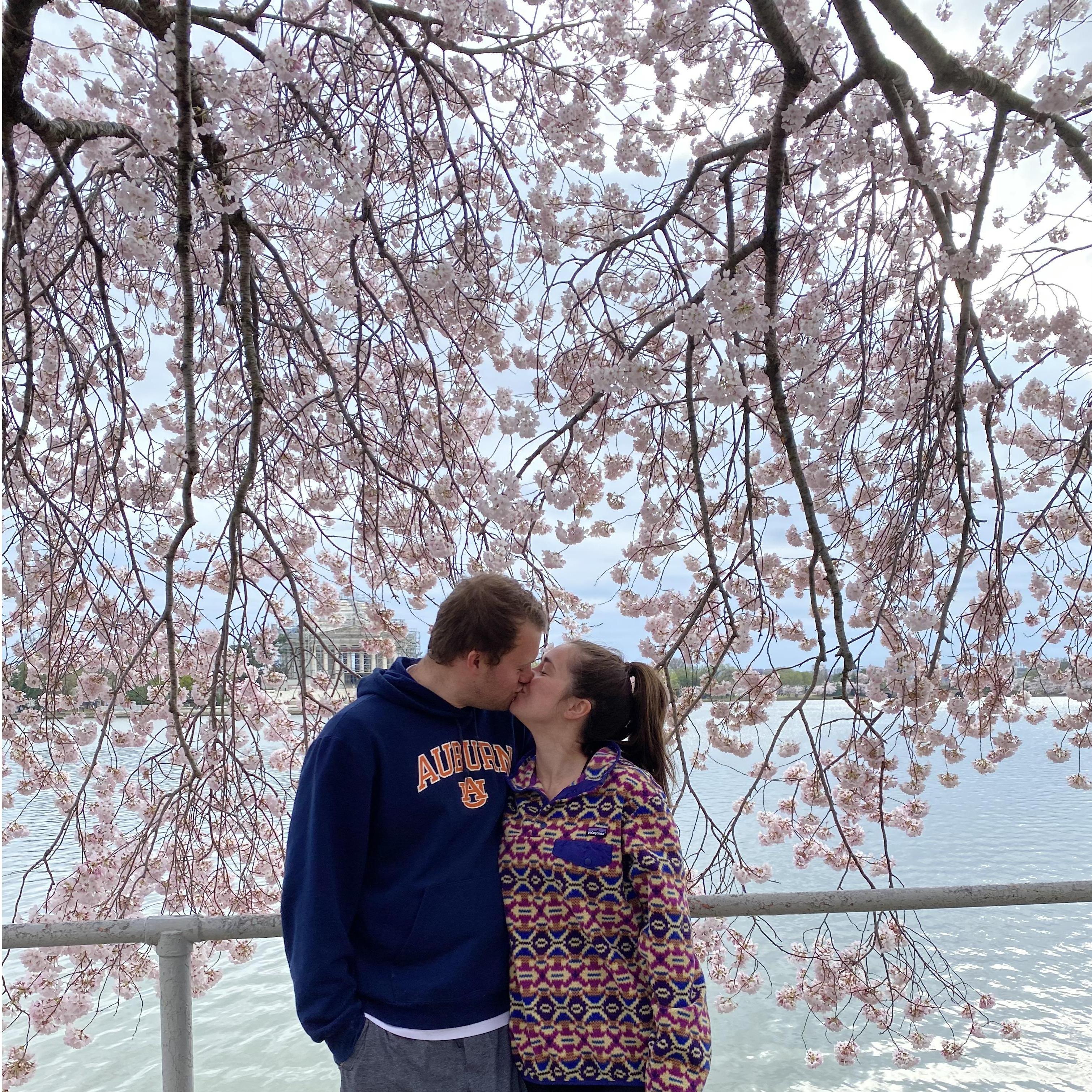 Spring in Washington, D.C. (Spring 2020)