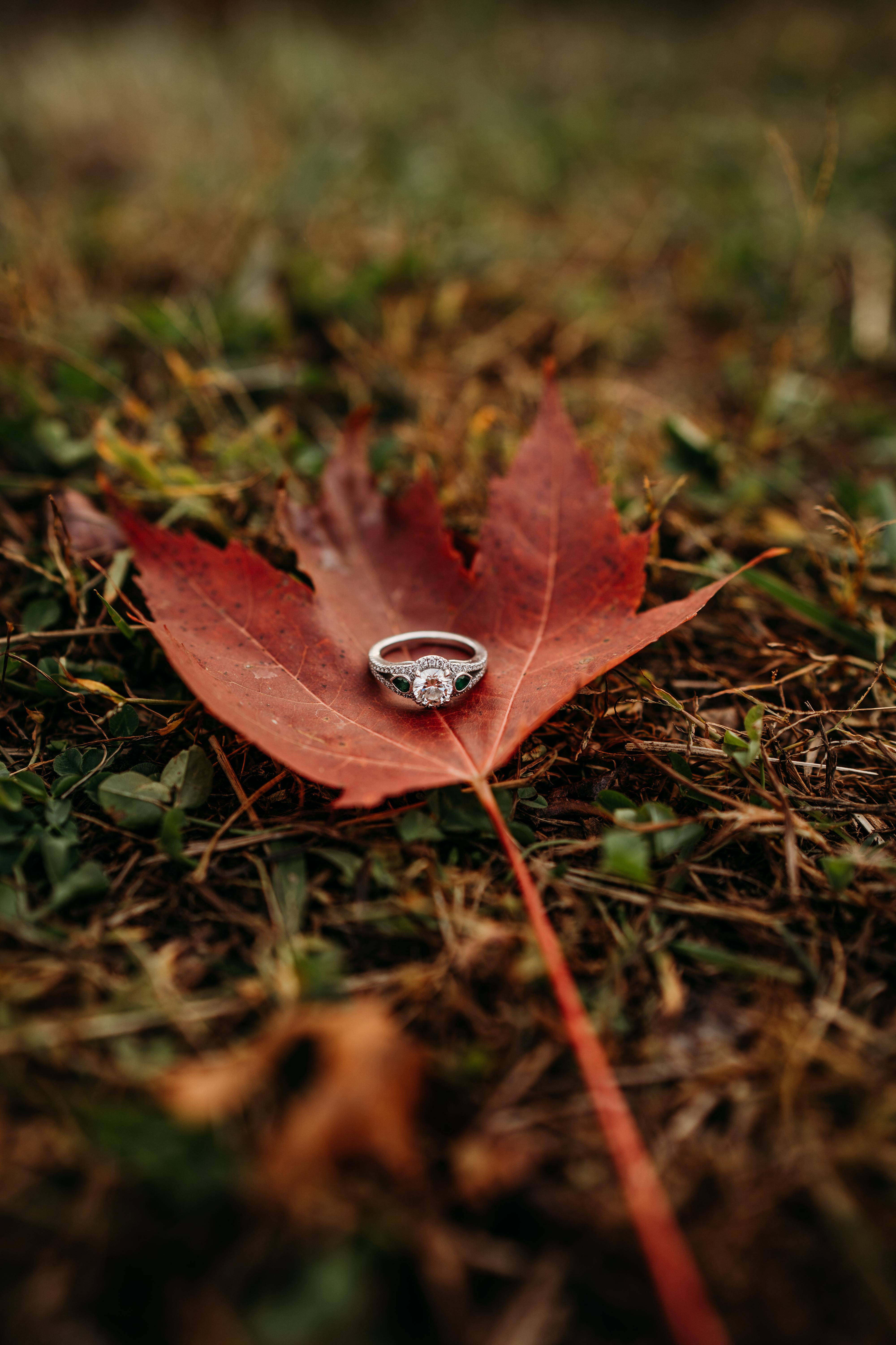 The Wedding Website of DeAna Conrad and Jason Bowman