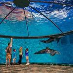 Indianapolis Zoo