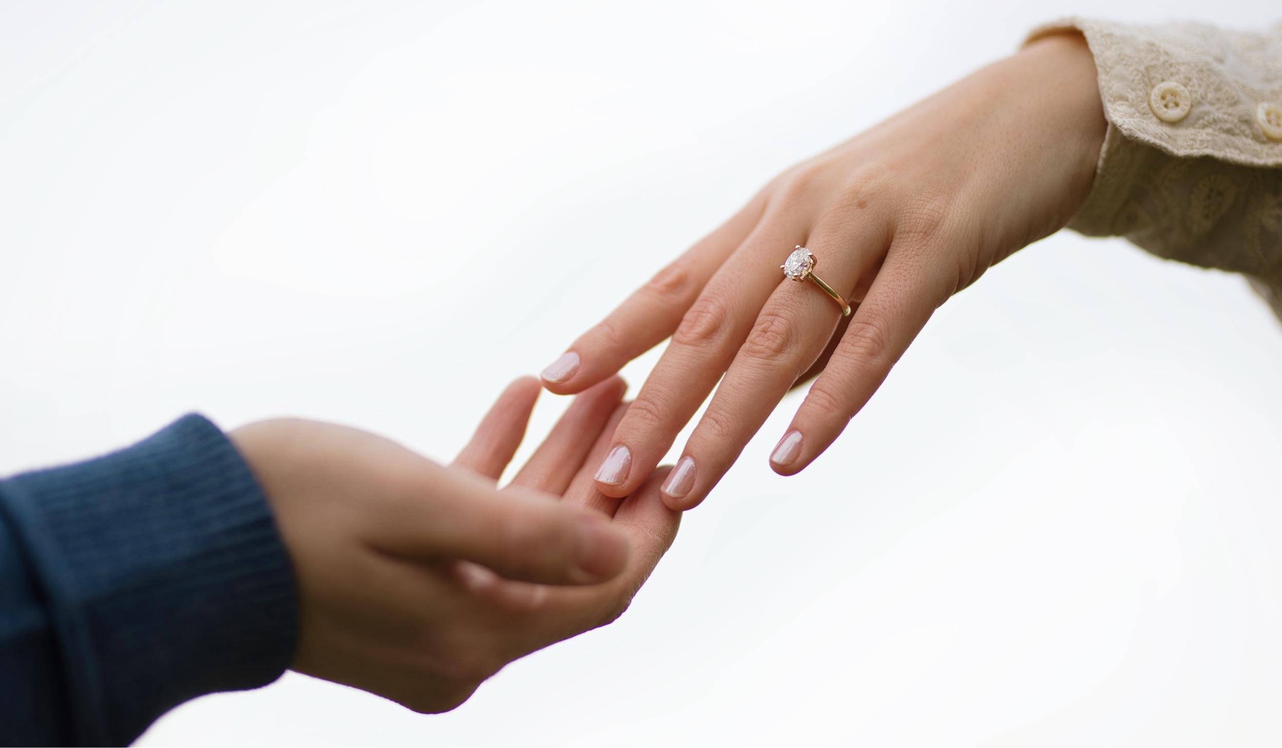 The Wedding Website of Brynn Prewitt and Will Reed