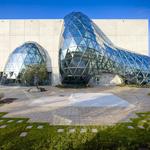The Dalí Museum