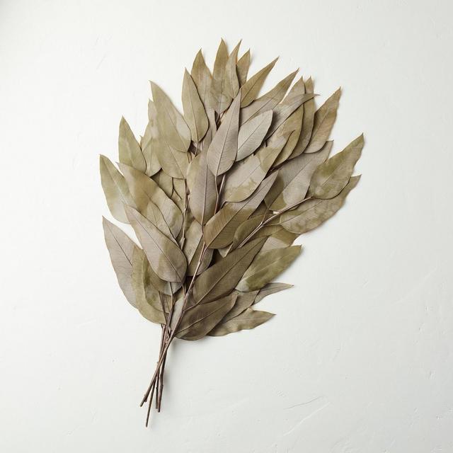Preserved Green Eucalyptus Leaves Bundle - Hearth & Hand™ with Magnolia