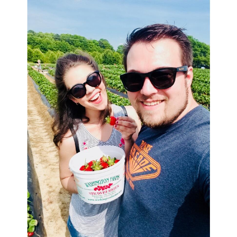 Strawberry picking at Washington Farms! Loganville, GA. (May, 2018)