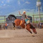 Valley View Rodeo