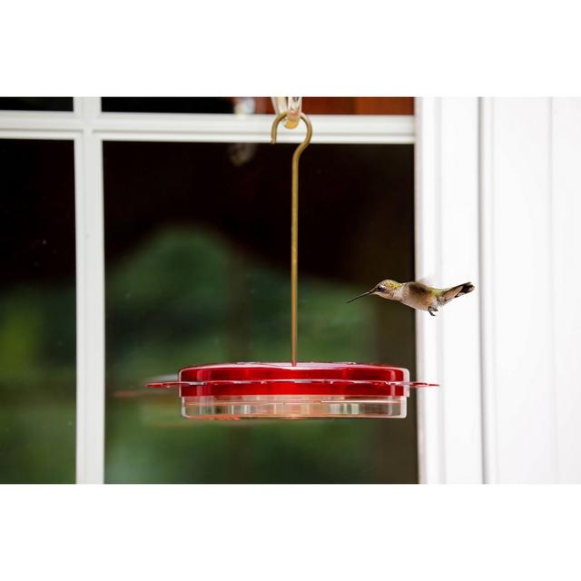 Birds Choice 12oz Hummerfest Hummingbird Feeder