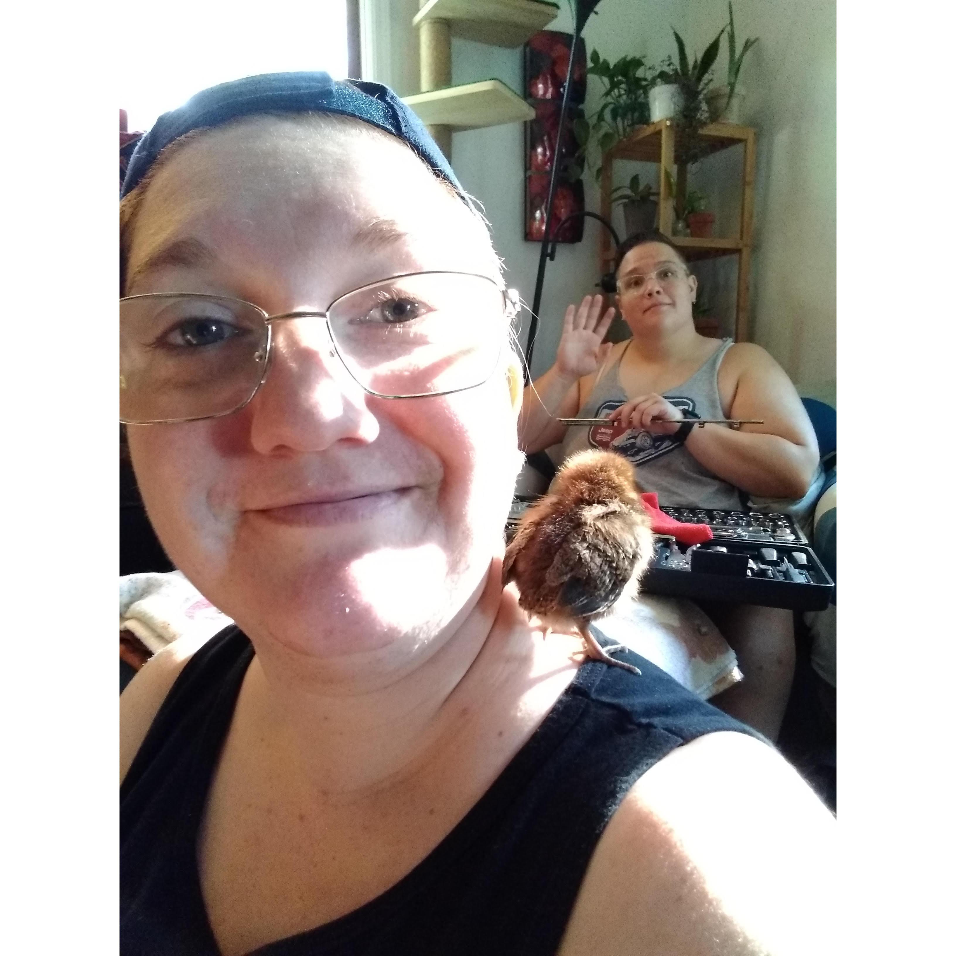 Jess moved Lizzy out to the country during the Pandemic. Lizzy got chickens.