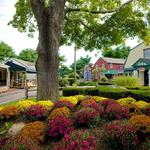 Olde Mistick Village