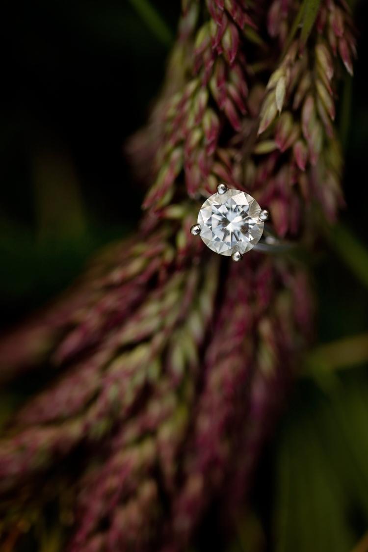 The Wedding Website of Darby Smith and James Barkley