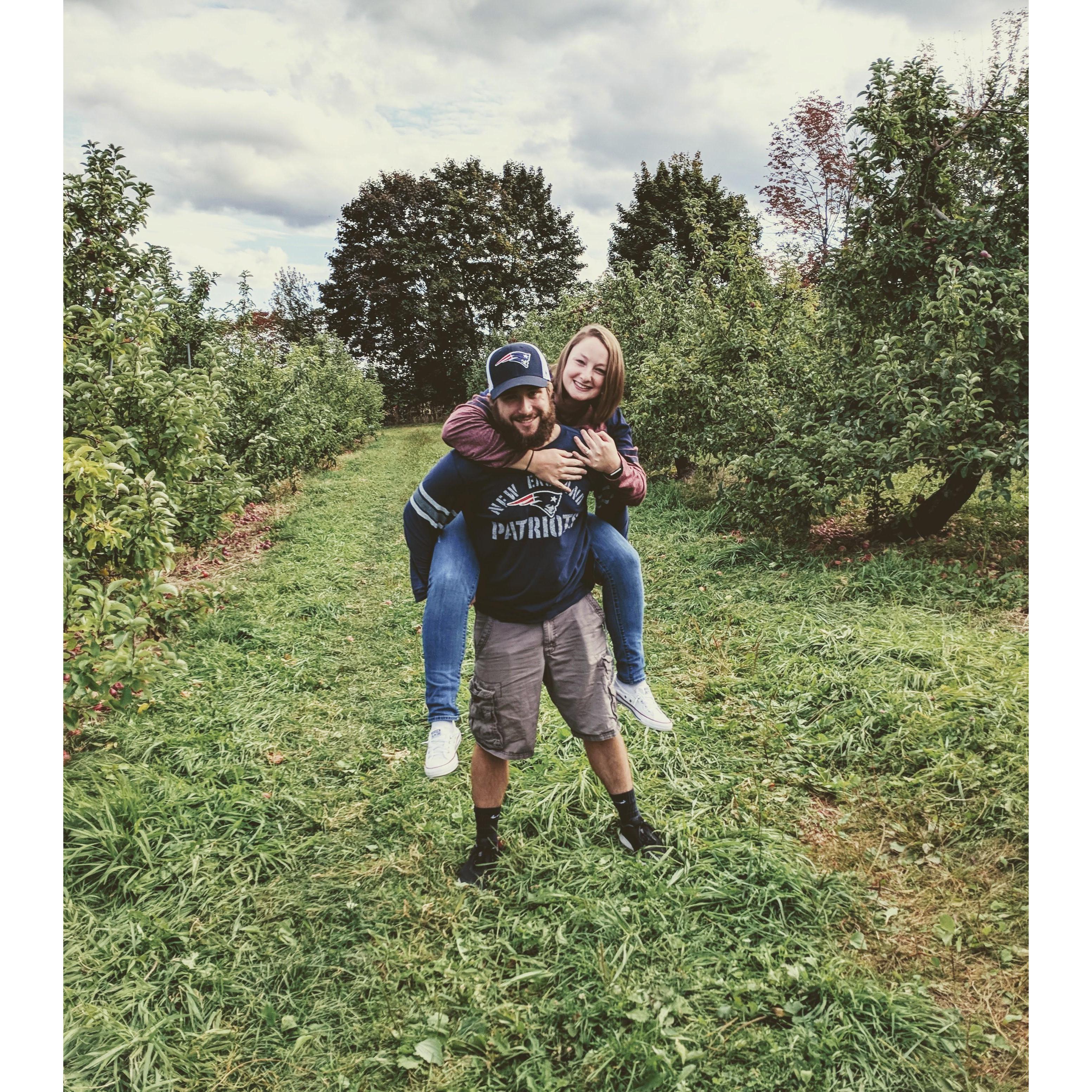 Is it obvious we love apple picking?