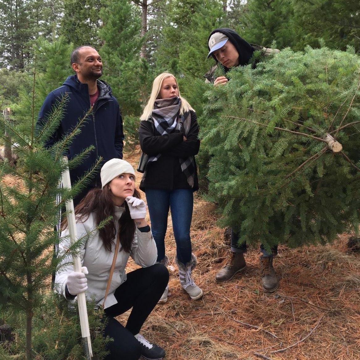 Posing for the annual Grubaugh "indy band photo" after a successful Christmas tree hunt
