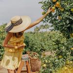 Bishop's Orchards Farm Market & Winery