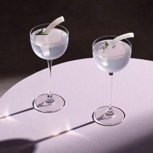 Nude Savage 4.5 oz. Crystal Coupe & Reviews | AllModern