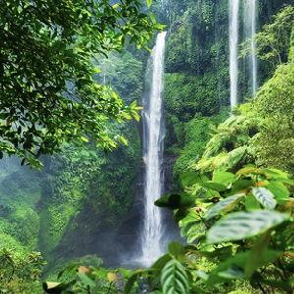 Entry Fees for Waterfalls