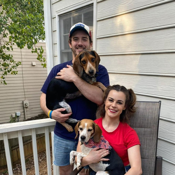 Donation to Angels Among Us Pet Rescue