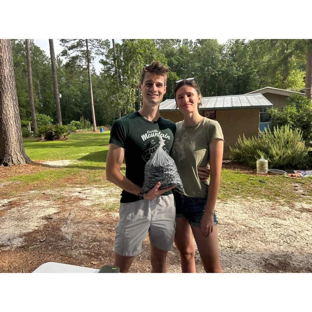 Picking blueberries at Blueberry Springs Spring 2024. We've done this before, way back in 2020! A treasured pastime for us.
