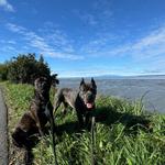 Tony Knowles Coastal Trail