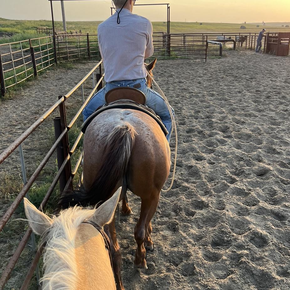 Roping practice