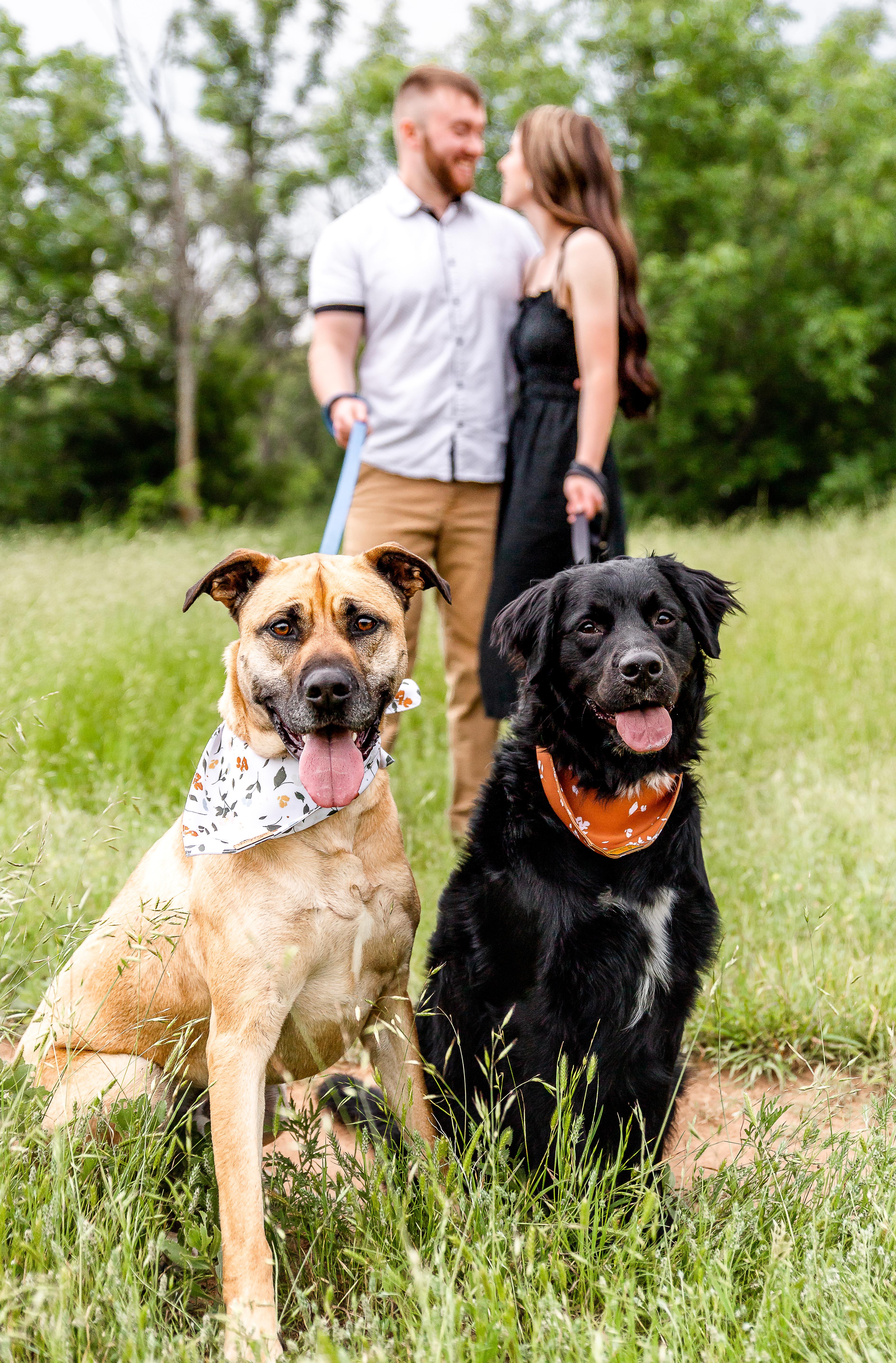 The Wedding Website of Julia M. Benavides and Matthew J. Frazzini