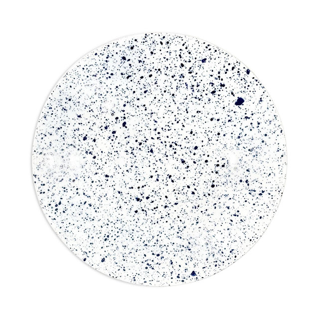Non Sans Raison Splash Dinner Plate