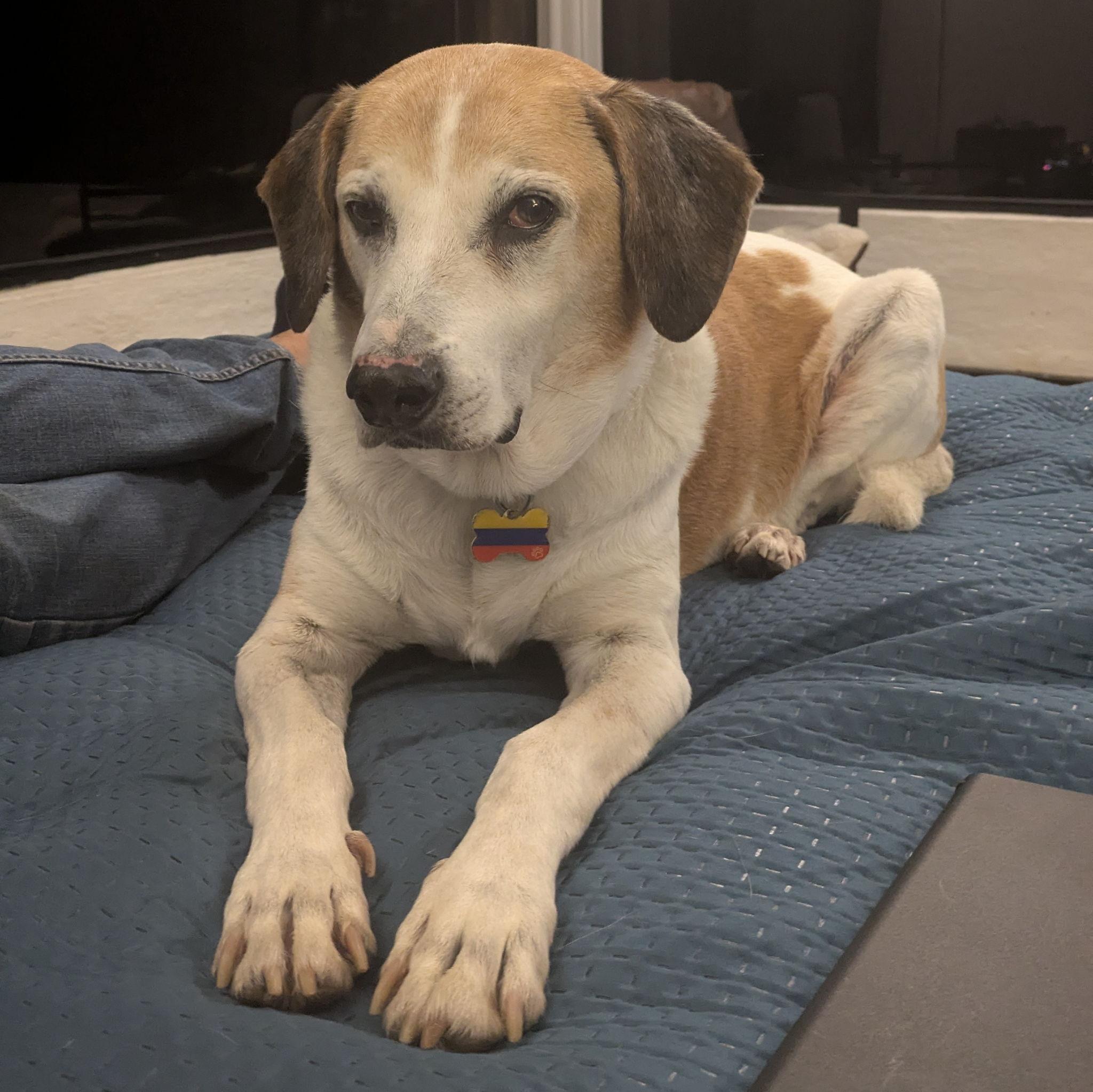 Ruko is 11-years old, rescued from the streets of Bogotá