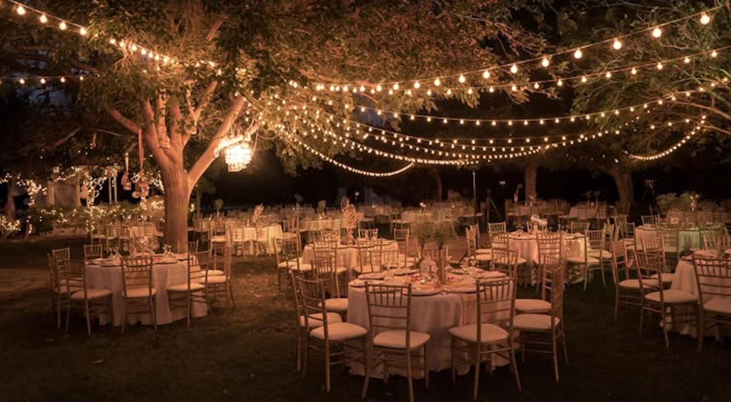 The Wedding Website of Marika Sparrow and Jed Rhein