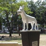 Parque del Perro