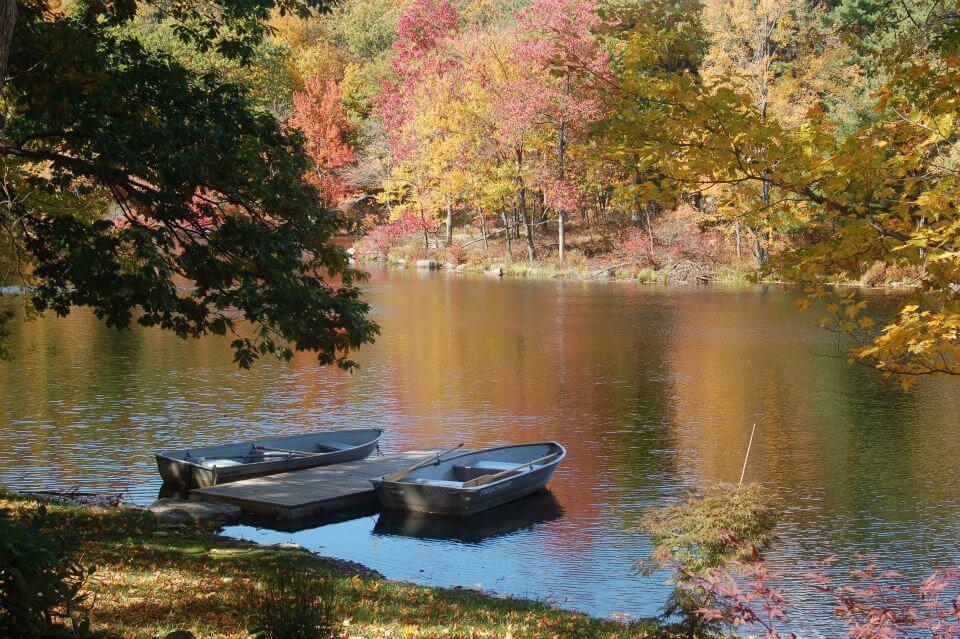 The Wedding Website of Madison Pollack and Philip Chinitz