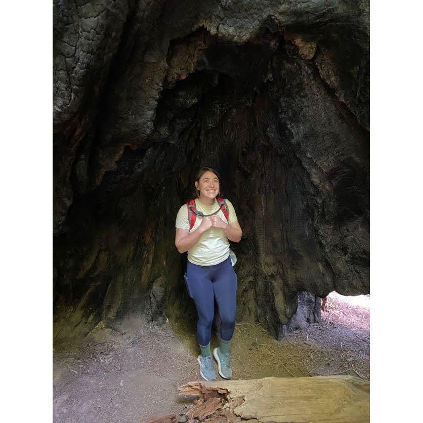 It's the simple things that are the greatest! Hikin in Muir Woods through big huge trees