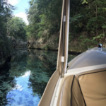Mangroves Boat Tours