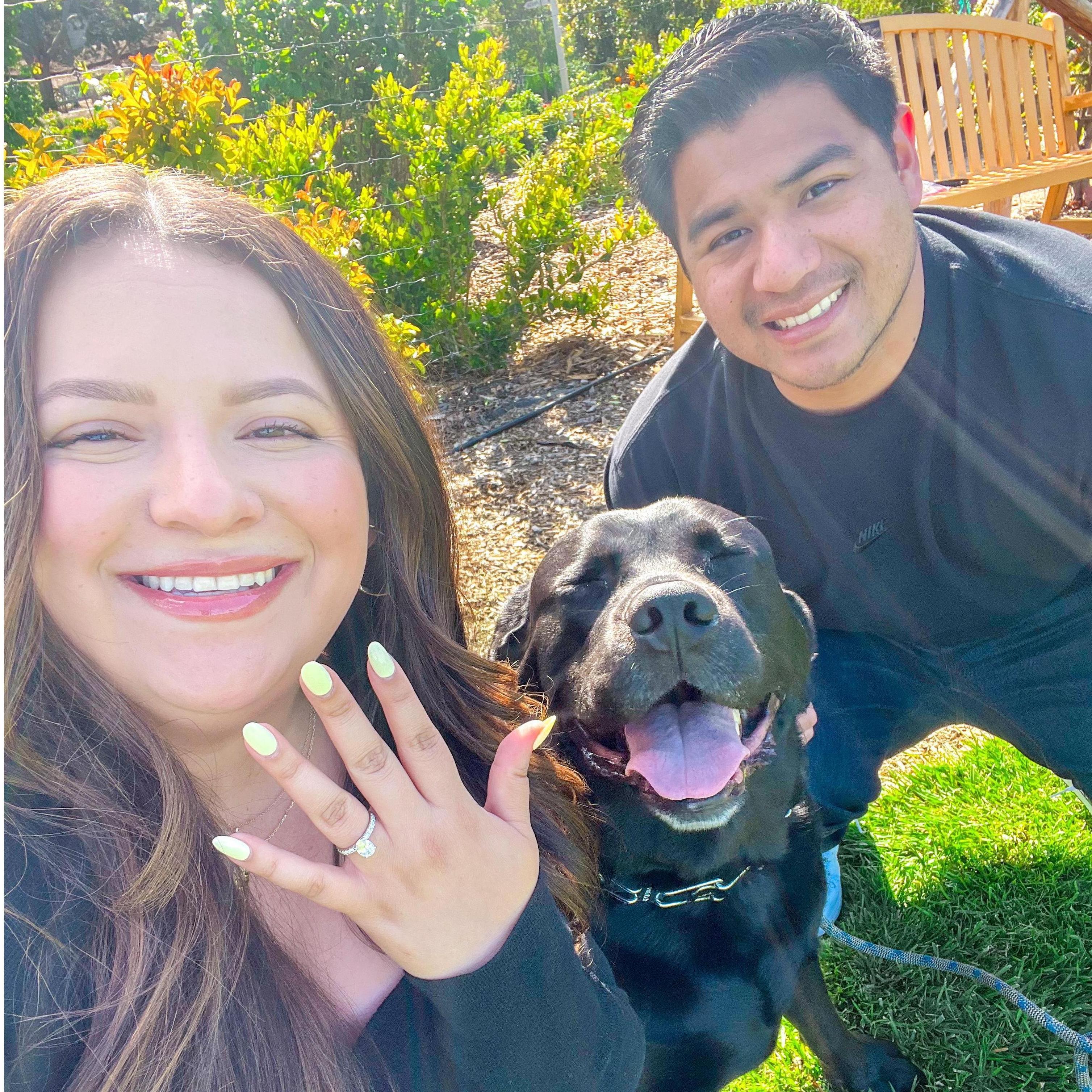 Sharing our engagement with Chip!