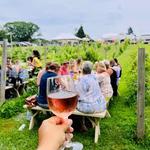 Cape Cod Winery