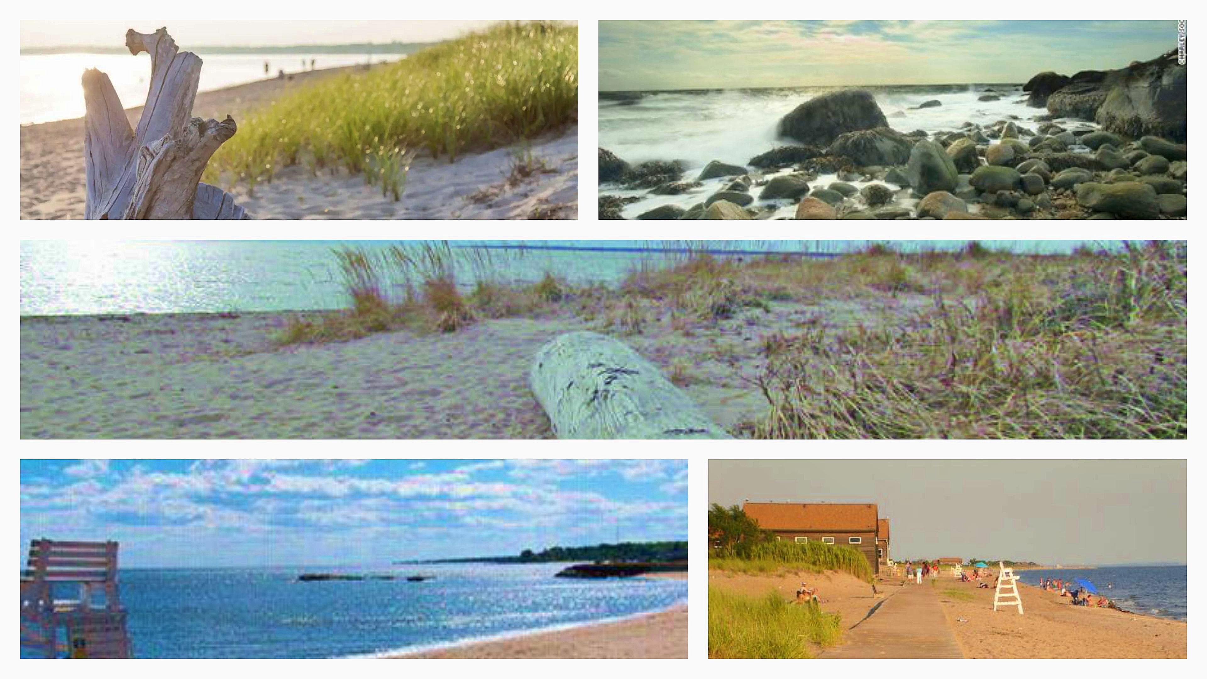 The Wedding Website of Jacqueline Kirwan and Bruce McDonald