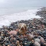 Agate Beach