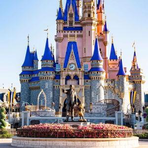 A Honeymoon Stay at Disney World
